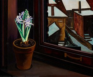 Budding Hyacinths — Isabel Mclaughlin
