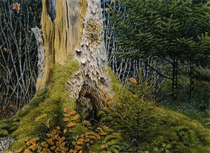 Wood Interior With Tree Stump — William George Richardson Hind