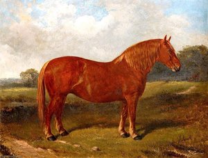 Duchess — John Duval