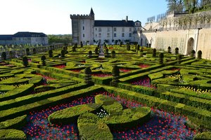 The Ornamental Garden – First Salon — Lozano - Javier De Winthuysen