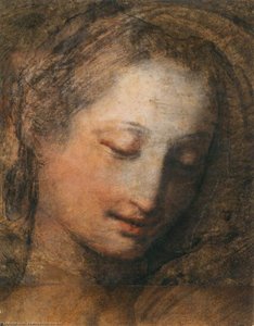 Face Of A Woman With Downcast Eyes — Federico Barocci