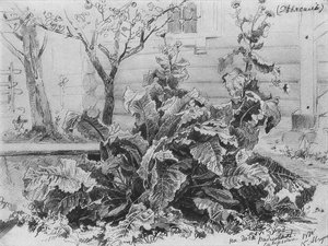 Mugs — Ivan Ivanovich Shishkin