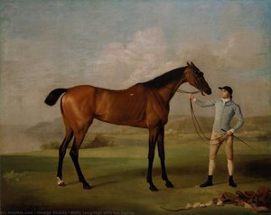 Molly Long-legs With Her Jockey — Джордж Стабс