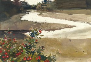 Rose Hips (study For Back Water) — Andrew Newell Wyeth