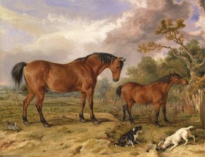Portrait Of Reformer, Blucher, Tory And Crib, The Property Of Rowland Alston, Esq., M.p — James Ward