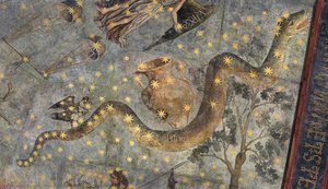 Hydra — Fernando Gallego