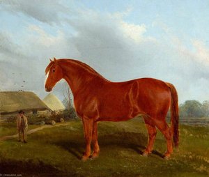 Unnamed Horse — John Duvall