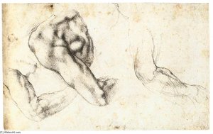 Drei Studien Eines Linken Arm Und Schulter — Michelangelo Buonarroti
