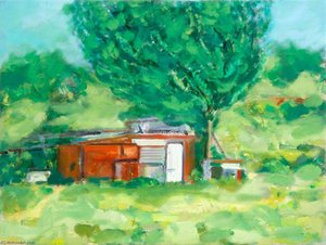 Allotment Shed — Clement Mcaleer