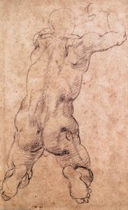 Kneulender Männlicher Nackt — Michelangelo Buonarroti
