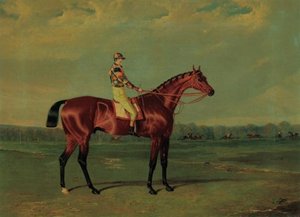 Memnon, A Bay Racehorse With William Scott Up In The Colours Of Richard Watt, On Doncaster Racecourse — John Frederick Herring Senior