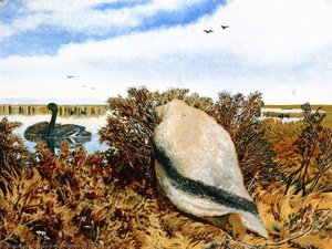 Duck Shooting — William George Richardson Hind