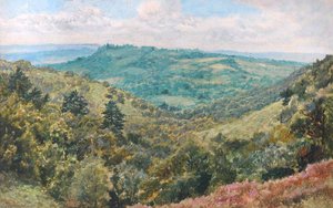 Forest Scene — Frederick William Hayes