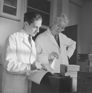 The Day Starts At The World Influenza Centre, London, With A Conference Between Dr C.e. Andrews, Director (right), And His Assistant Dr A.a Isaacs — Éric Schwab