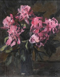 Peonies — Evan Walters