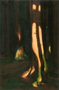Hard Shadow Cast On Spruce — Hans Emmenegger