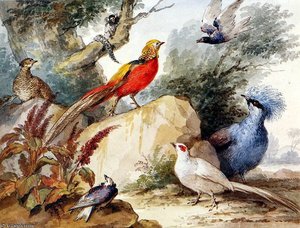 Birds In Landscape Sun — Aert Schouman