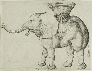 The Elephant — Martin Schongauer