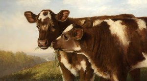 Two Shorthorn Calves — Henry Hetherington Emmerson