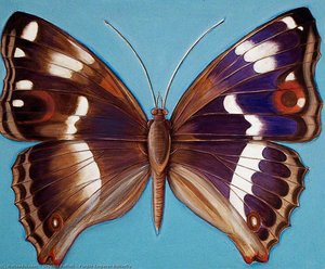Shyama Ruffell