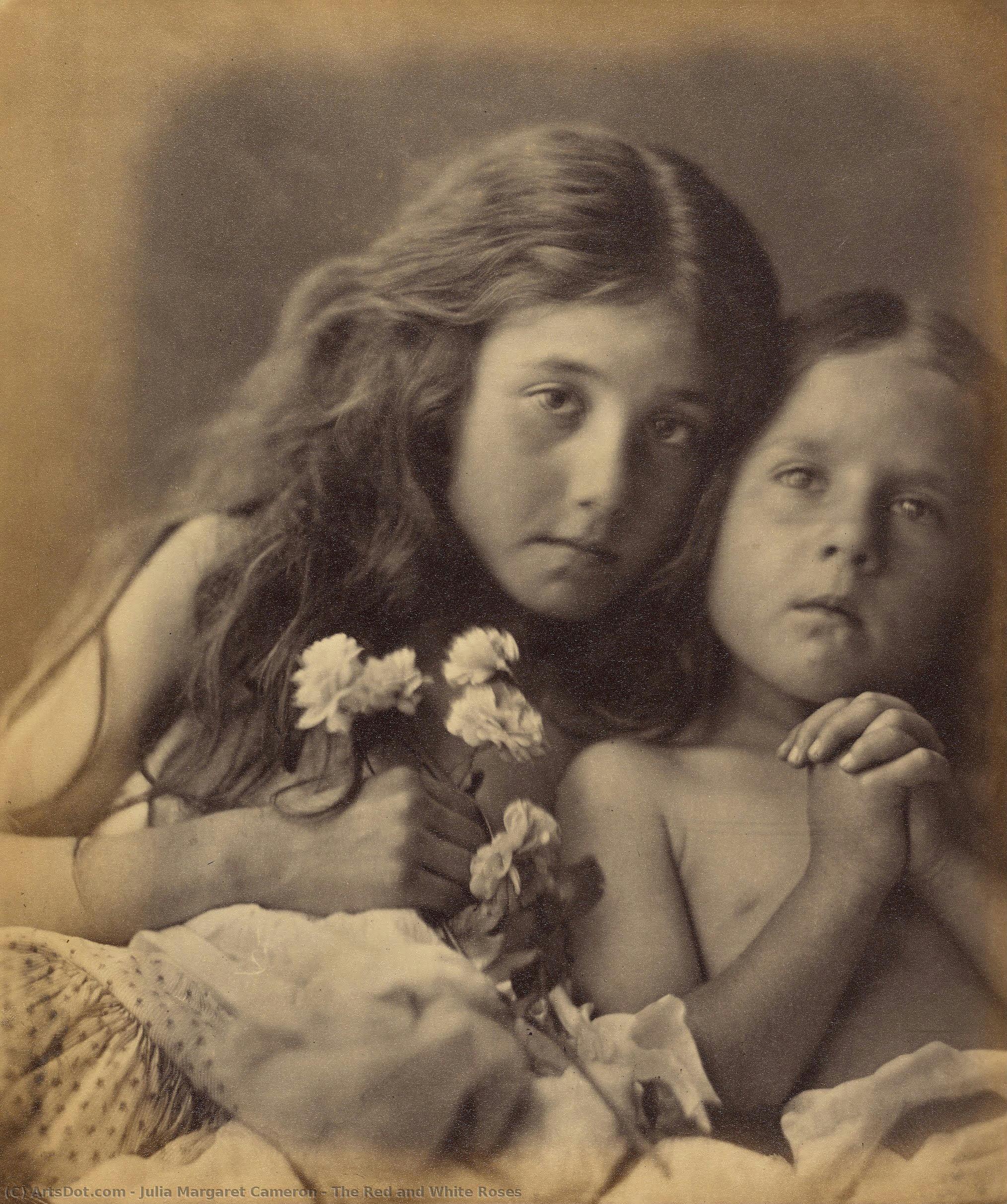 The Red And White Roses — Julia Margaret Cameron, Black And White Photography, Pictorialist Photography