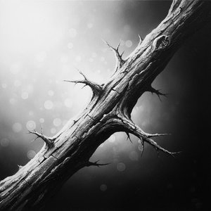Monolithic Shadows of the Piercing Vine in a Silent Grayscale Void