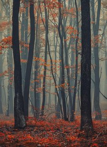 Sfumato Der Herbstlichen Stille: Eine Singuläre Studie Des Grünen Verfalls