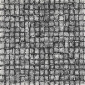 Monolite Frammentato: Uno Studio Singolare Di Ombre Di Carboncino E Tensione Di Reticolo Organico