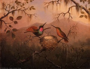 Two Hummingbirds At A Nest — Martin Johnson Heade