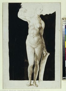 Studium Poměru Ženy Nahé S Štítem — Albrecht Dürer