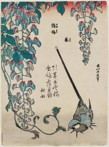 Wisteria En Wagtail — Hokusai