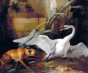 Swan Attacked By A Dog — Jean-baptiste Oudry