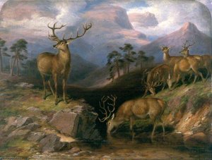Deer — James Giles