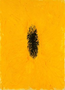 Untitled — Anish Kapoor
