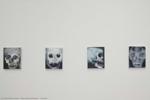 Skulls