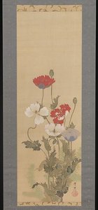 芥子図 Poppies — Suzuki Kiitsu