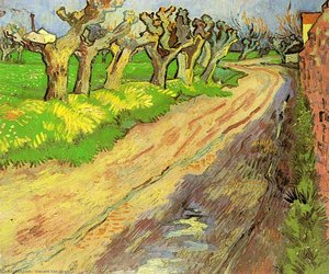 Пољски Вуови — Vincent Van Gog