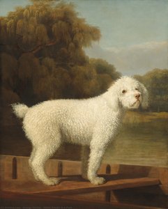 White Poodle In A Punt — George Stubbs