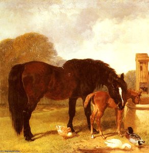 Horse And Foal Watering At A Trough — John Frederick Herring Senior