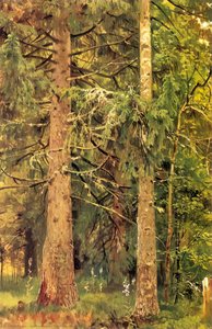 Firry Forest (etude) — Иван Шишкин