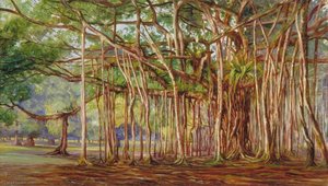 Banyan Trees At Buitenzorg, Java — Marianne Northová