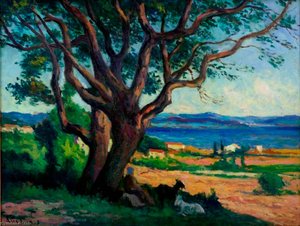 Vue Du Golfe De Saint Tropez — Maximilien Luce