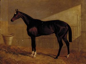 Lucetta, A Bay Racehorse In A Stable — John Frederick Herring Senior