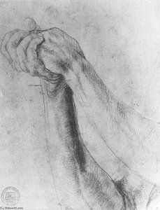 Upper Arm Study — Matthias Grünewald