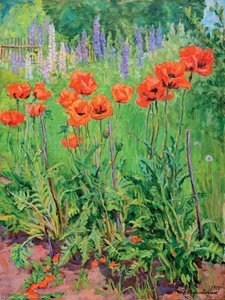 Poppies — Pyotr Konchalovsky