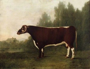 'garrick' A Bullock — John Boultbee