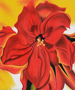 Rote Amaryllis 2 — Georgia O’keeffe