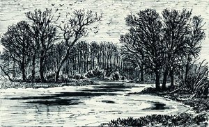 Sumpf Im Wald — Ivan Ivanovich Shishkin