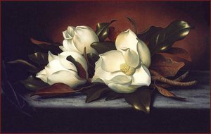 Giant Magnolias — Martin Johnson Heade