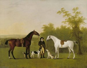 Two Hunters 'prophet' And 'surprise' — John Boultbee
